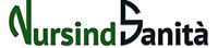 NursindSanita