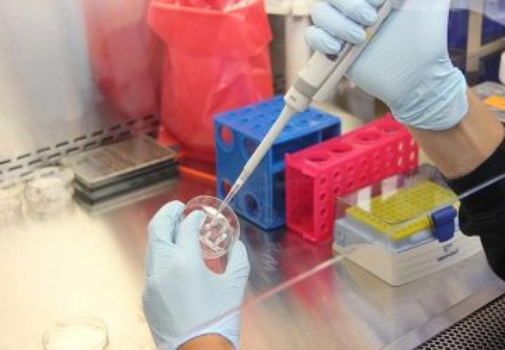Morbillo, lss: "In forte aumento ma il vaccino è efficace anche con la nuova variante"