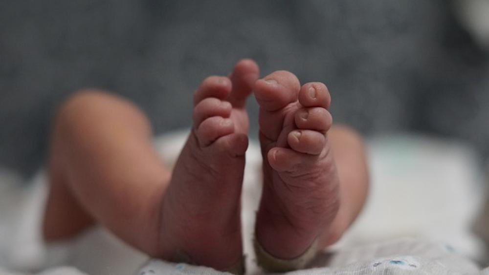Epilessia neonatale, per un bimbo su due rischio di diagnosi errate e cure inappropriate