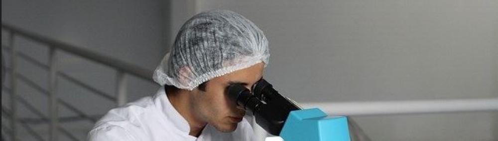 Tumori, scoperta la molecola che inibisce la crescita del cancro ai polmoni