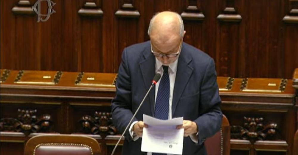 "L'uscita dall'Oms? Non è nel programma di governo"