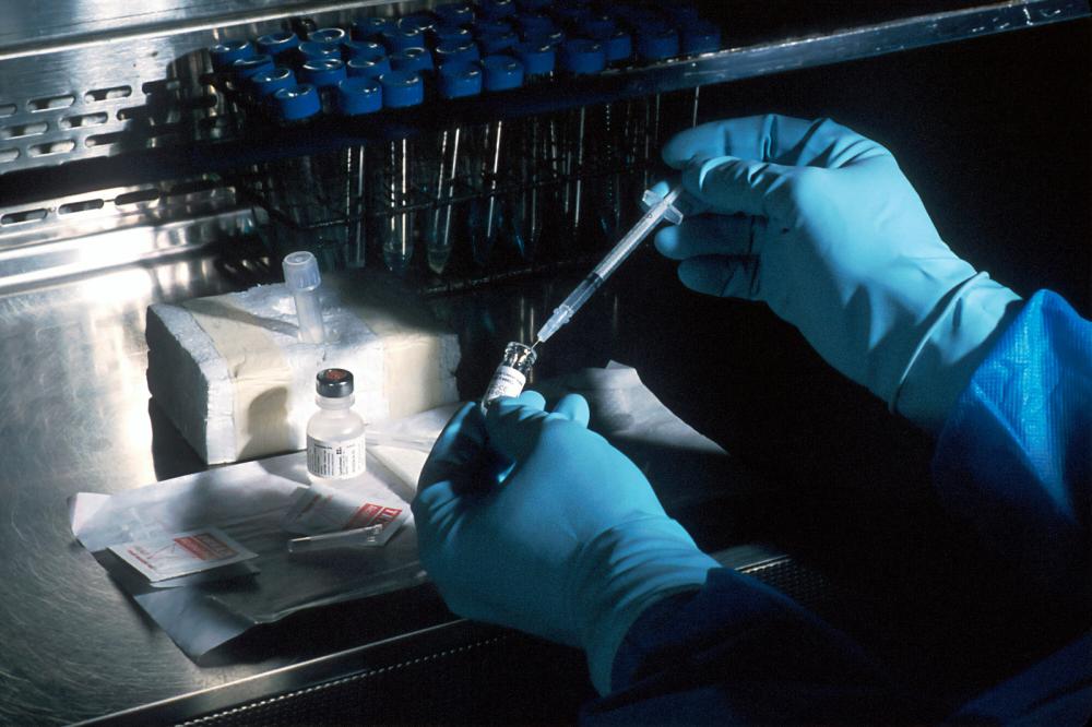 Foto di National Cancer Institute 